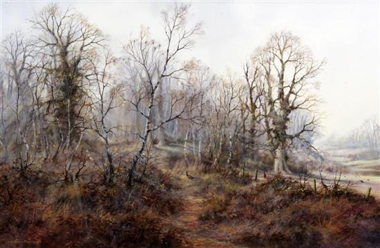 § Colin Burns (b.1944) Pheasant in woodland 23 x 35in.